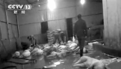 公安部派員督辦江西高安病死豬案抓獲12人(圖)