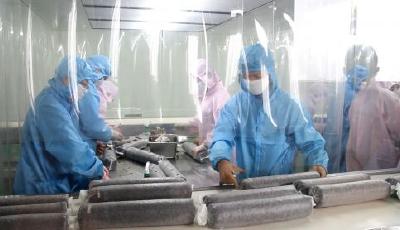 華盛綠能建全國最大光伏農(nóng)業(yè)基地 棚上發(fā)電棚下種菇