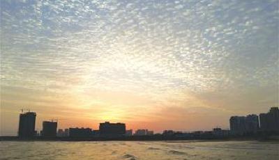 2014島城樓市“鮮”象環生