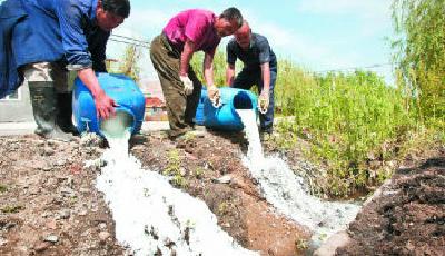 乳企自建牧場讓奶農散戶很受傷:殺牛倒奶或繼續