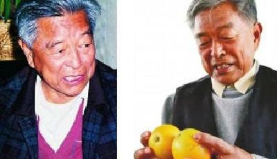 褚時健：我已經甘心了 我筋疲力盡了