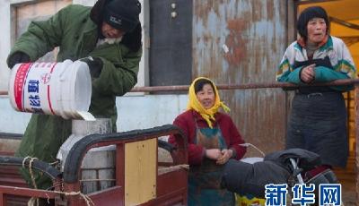 奶農“倒奶殺牛” 政府豈能袖手旁觀