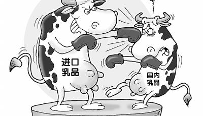 價格倒掛奶比水賤 散養模式成倒奶“真兇”