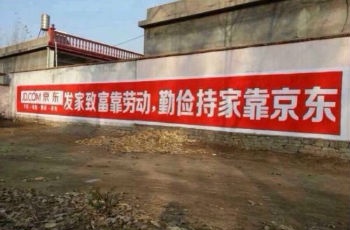 被高估了的農(nóng)村電商