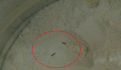 雅培奶粉被曝吃出黑色異物 曾深陷“甲蟲(chóng)門(mén)”(圖)