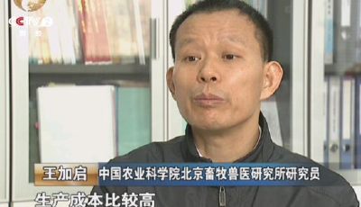 多么痛的領悟：中國奶業"散戶養殖"時代該落幕了?