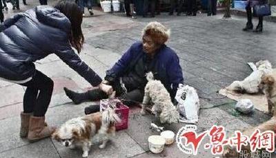 流浪狗要飯團照片曝光 是乞討新招還是保護流浪狗