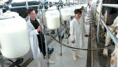 商務部回應“賣奶難”：并非受進口沖擊