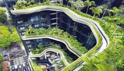 嶗山今年起將整治三處橋下區(qū)域 將補(bǔ)植裸露綠化帶