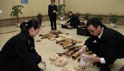 上海自貿(mào)區(qū)2014年查辦走私案值超40億元 