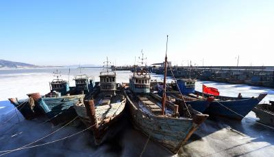 “霸王級”寒潮來襲 中國多地進入“抗凍”模式 