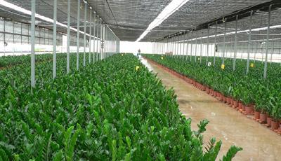 2015中央一號文件:加大改革創(chuàng)新推進農(nóng)業(yè)現(xiàn)代化