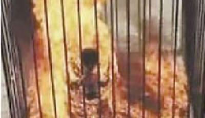 約旦飛行員遭IS火刑處死 軍方：血不會白流