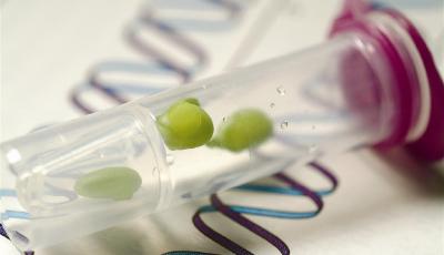 青企引國外生物菌肥技術(shù) 發(fā)力海洋生物產(chǎn)業(yè)變革