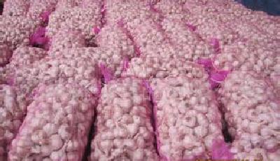 韓方回應(yīng)"退回中國大蒜":可以去世貿(mào)組織告我們