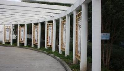 全國又有73所“野雞大學”被曝光 涉及16個省份