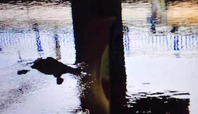 北京南站南側驚現浮尸 案件正在調查