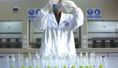 SGS通標公司青島分公司 鏈接青島與世界的第三方