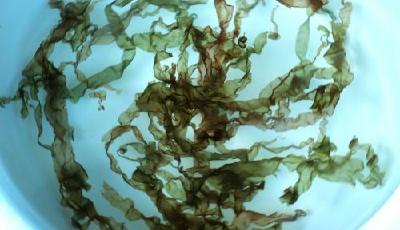 吉林琿春一批韓國進(jìn)口烤紫菜被檢出大腸菌超標(biāo)