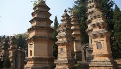 少林寺建澳大利亞分寺 釋永信赴澳支付2040萬