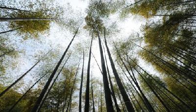 拍電影投千億元回報僅百億 院線紅火難掩行業困局