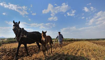 中國3.3億畝承包耕地完成確權登記頒證 增9省試點