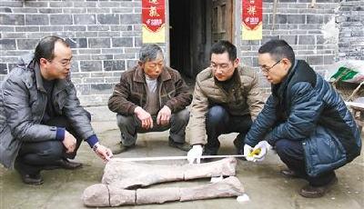 村民砍柴撿到6塊恐龍骨骼化石 距今1.4億年