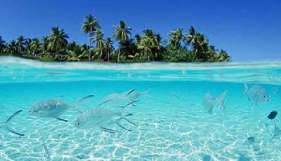 姐妹馬爾代夫溺亡無賠償 你真喜歡馬爾代夫嗎？