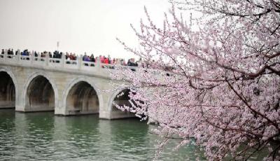 北京市居住證明起可申領！辦理它你需要知道這些