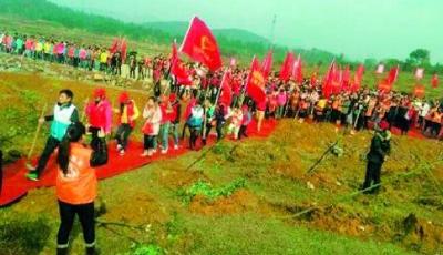 湖南永州“踩紅地毯種樹”涉事官員被免職