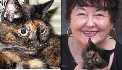 世界最老貓咪慶祝27歲生日 約合人類125歲