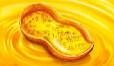 青島長生花生油被檢出致癌物超標 可致胎兒畸形