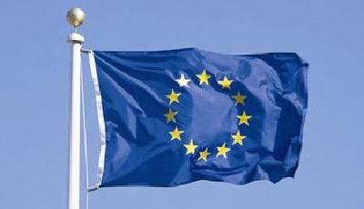 法國男子為帶外籍妻子入歐盟 將其藏于箱中