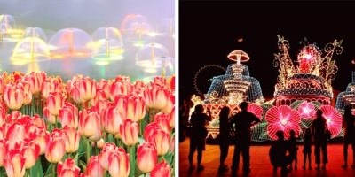 韓國春季賞花旅游景點 處處可見花的海洋