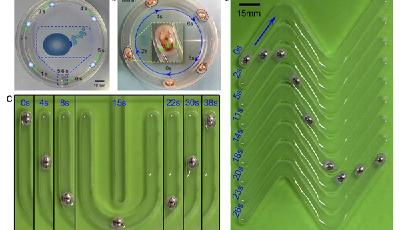 中國造終結者2現實版液態金屬機器 擺脫電力自主運動