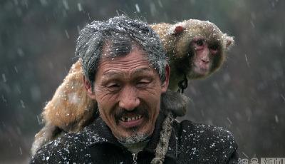 河南耍猴人感人故事 妻子撩衣襟給喪母小猴喂奶