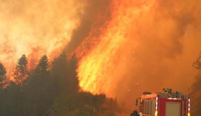 福建周寧清明節發生山火 火光沖天