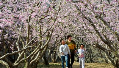 “五一”小長假連歇三天不調(diào)休 高速路免費通行