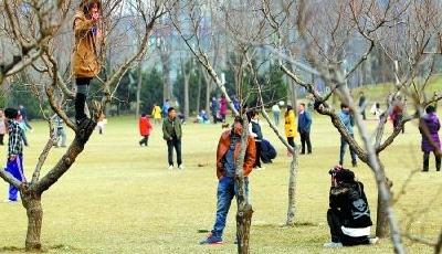 國家旅游局出臺新規 游客不文明行為紀錄保留2年