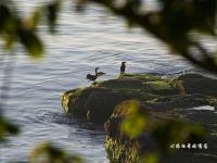 揭秘讓中國人垂涎的美國頂級富人區