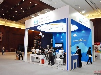 GMIC2013