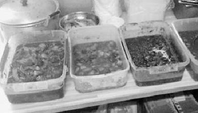 “黑外賣”緣何死灰復燃？后續(xù)長效管理仍存“瓶頸”