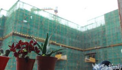 武大研究生斥工地擾民 施工方稱睡不著就多看書