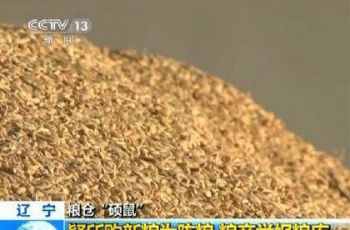 中儲(chǔ)糧回應(yīng)“糧庫(kù)以陳頂新”：嚴(yán)肅查處