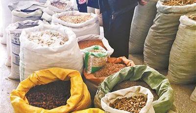 中藥材價格瘋漲傳言不實 僅個別價格波動較大