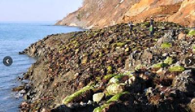 日本北海道一處海岸線隆起10至15米 原因不明