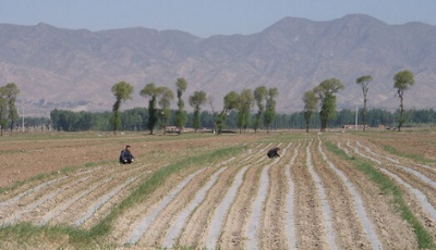 山東省人社廳出新政:征收土地先考慮失地者就業