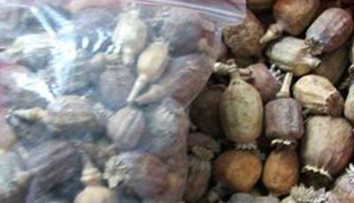 豬肉假冒牛肉一斤多掙20 湯料加罌粟含嗎啡成分