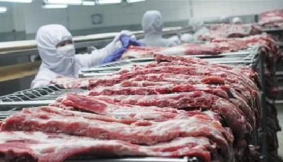 生豬連漲六周或繼續漲 五花肉每斤近11元(圖)