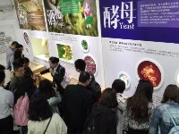 走进青岛互联网工业——青啤